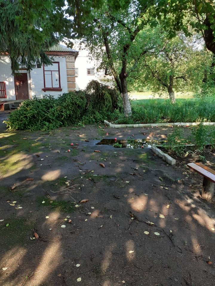 67939767 713478332457290 6128546043626782720 n