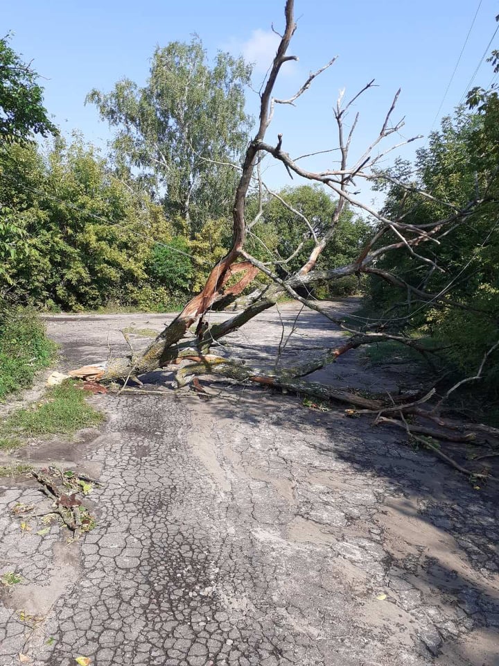 67940686 359239964991060 6190586966476587008 n