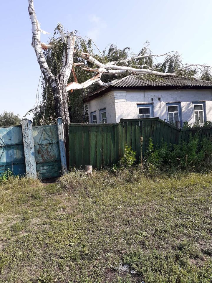 67953507 931300687209611 1102588967548616704 n