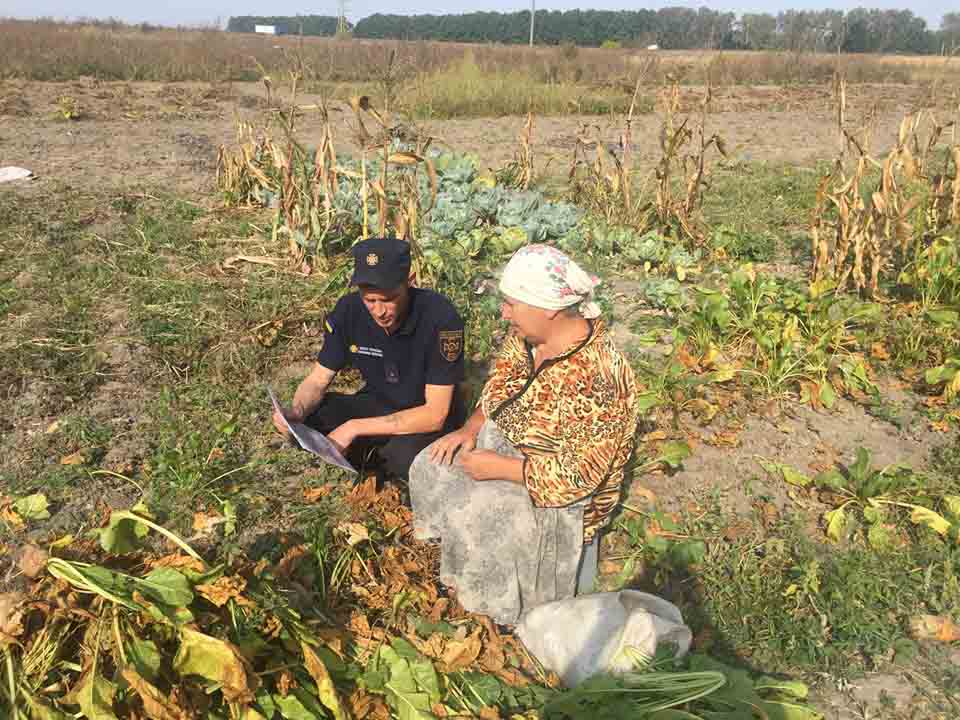 69987488 434567150487823 5870598562756165632 n