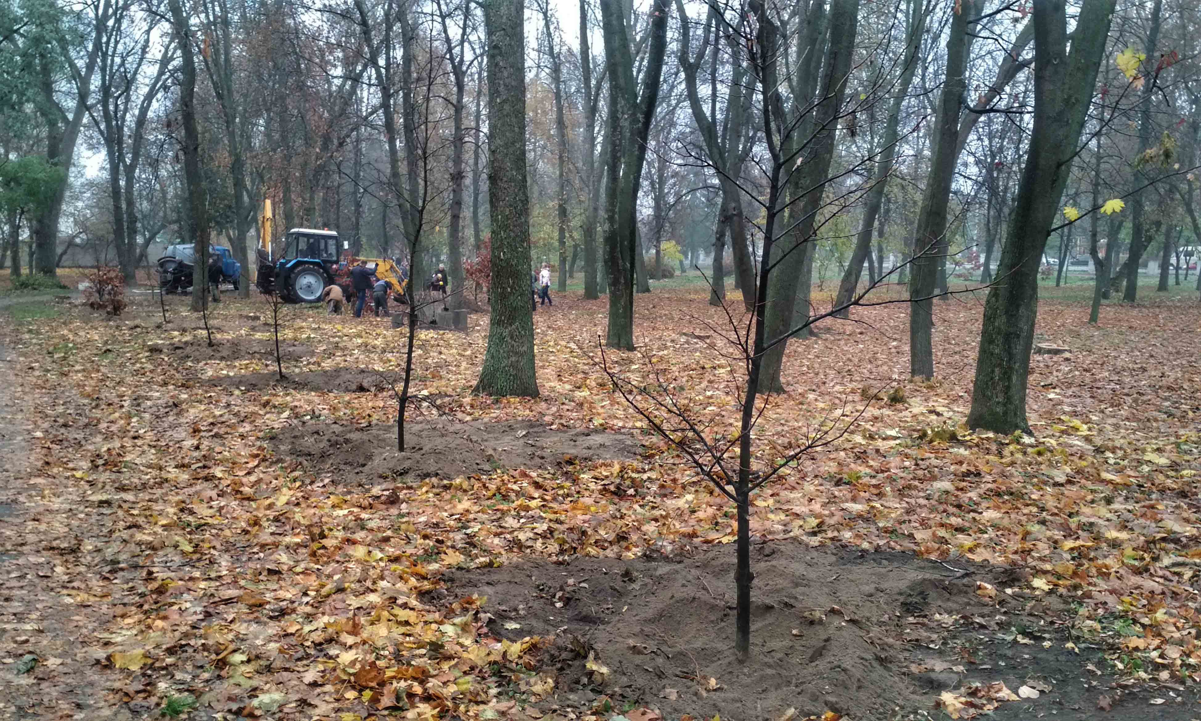 IMG 20191025 094807 01