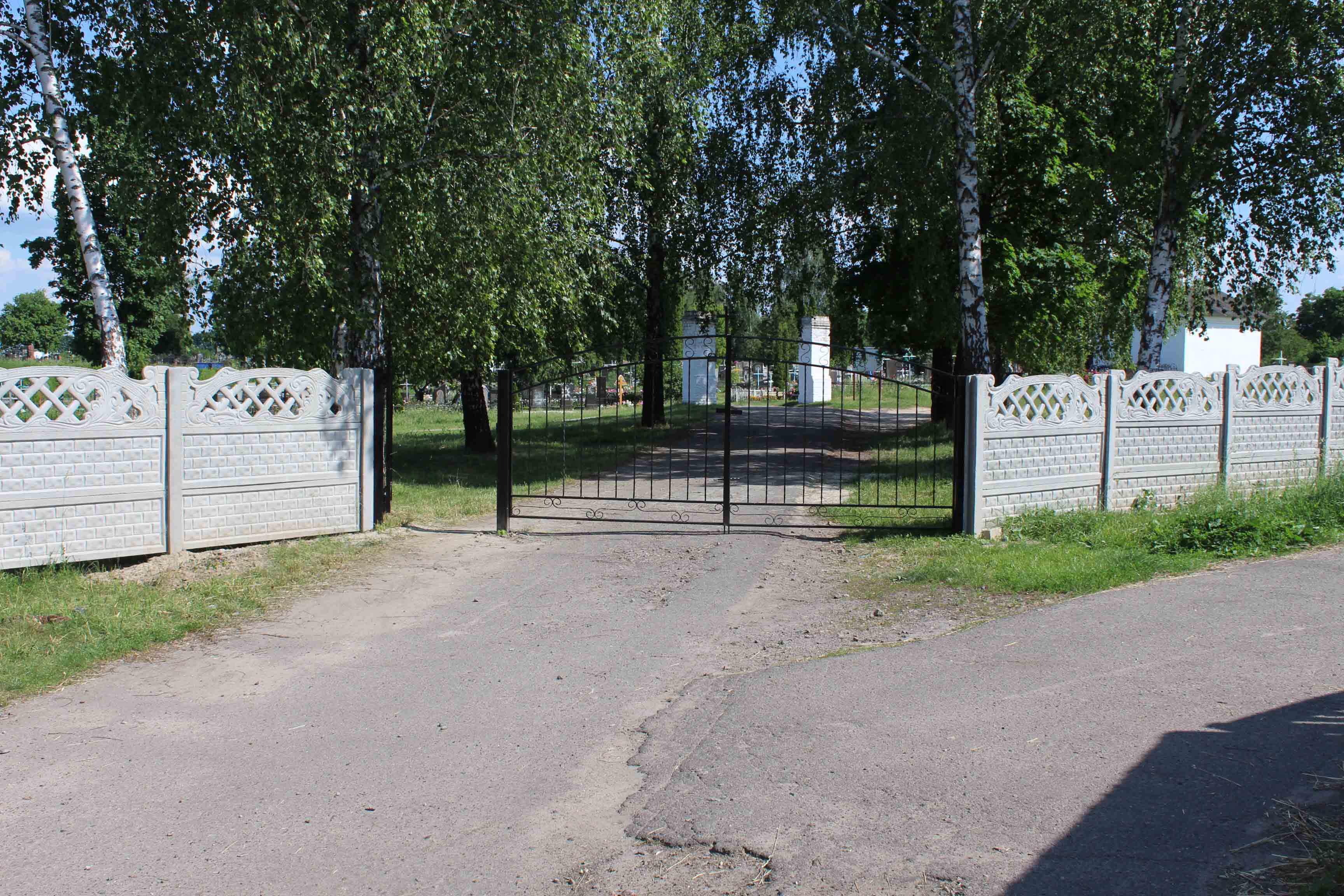 IMG 7577