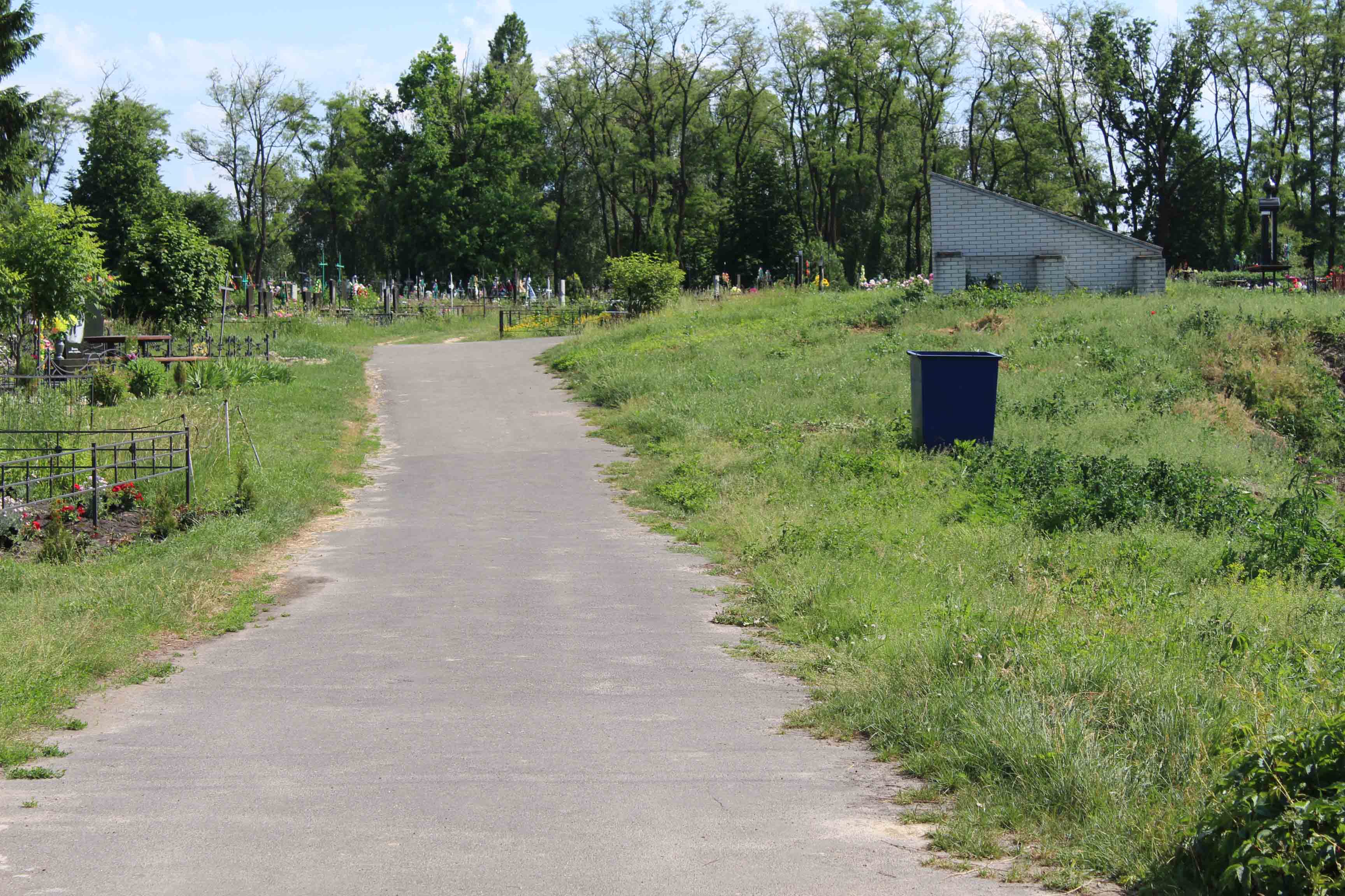 IMG 7581