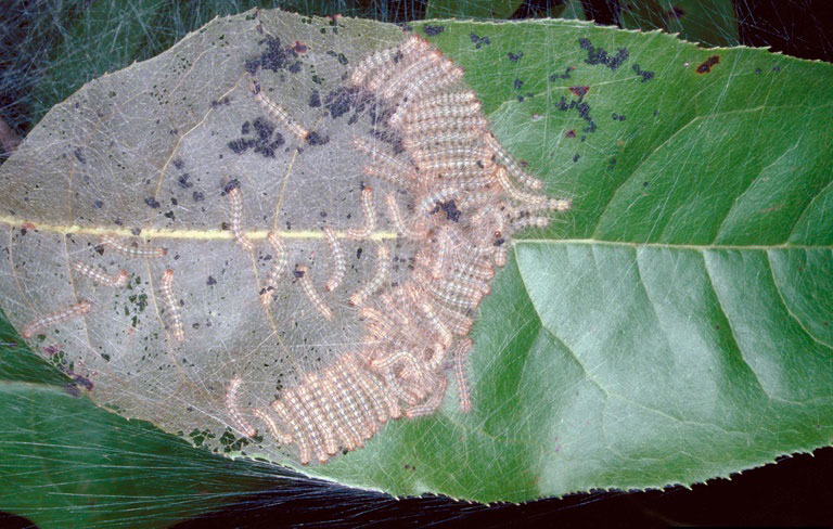 image0031