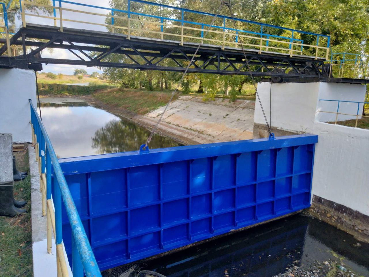 photo 5274246593295536976 y