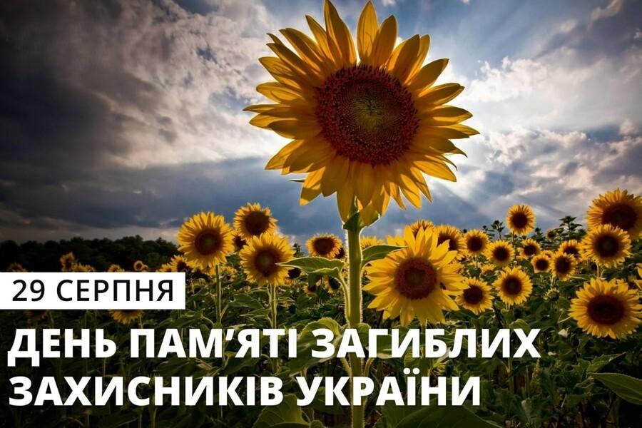 7ced52b5fdc4361ad1da60555043f40a XL