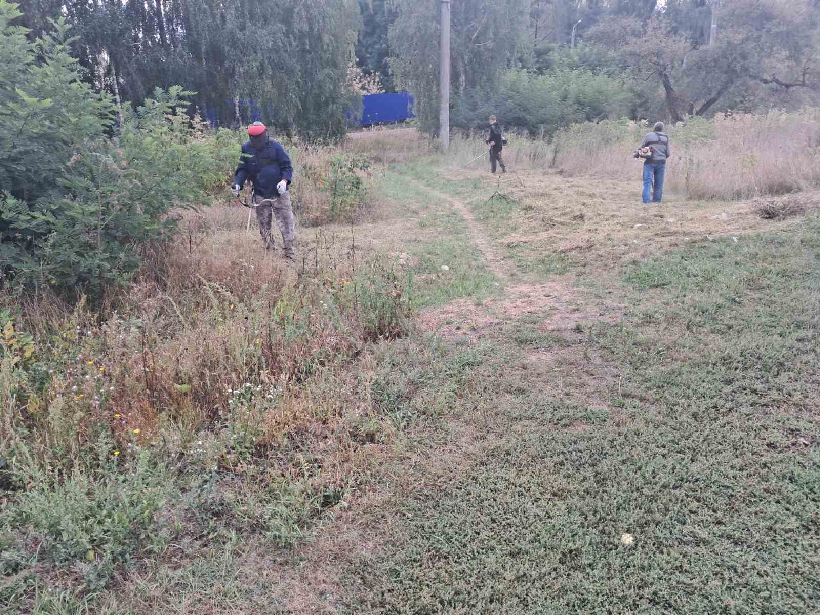 IMG 0235