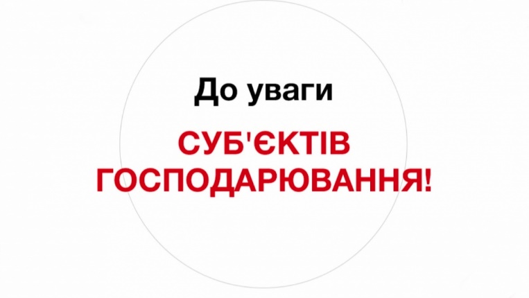 28020251141135