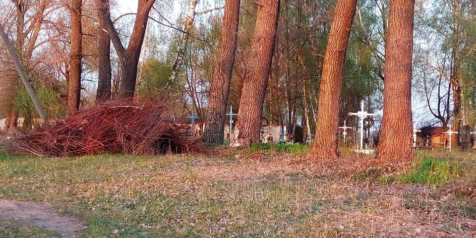 57649327 377397909530294 1970907457878228992 n