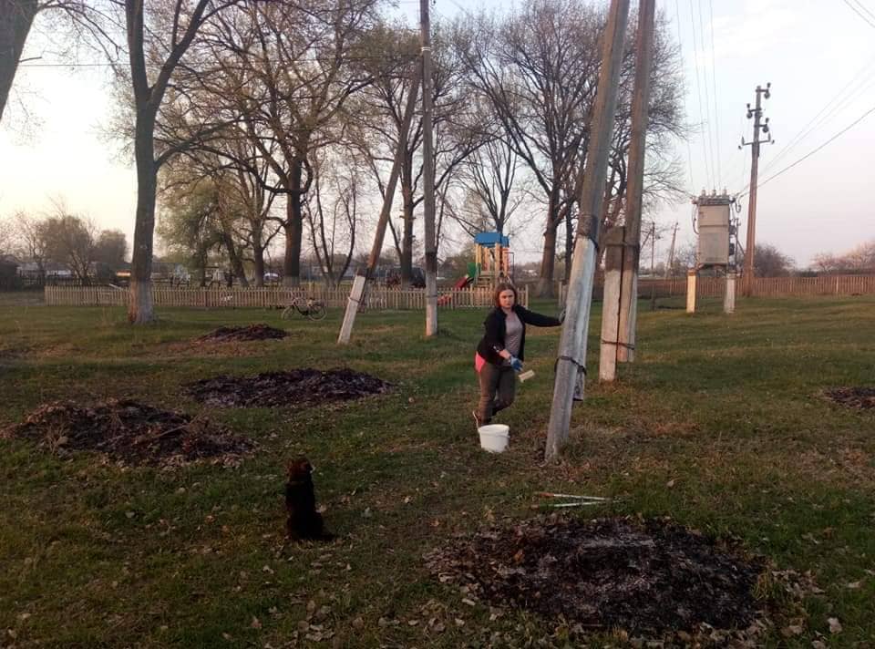 58377541 296229377943401 7517799489495629824 n