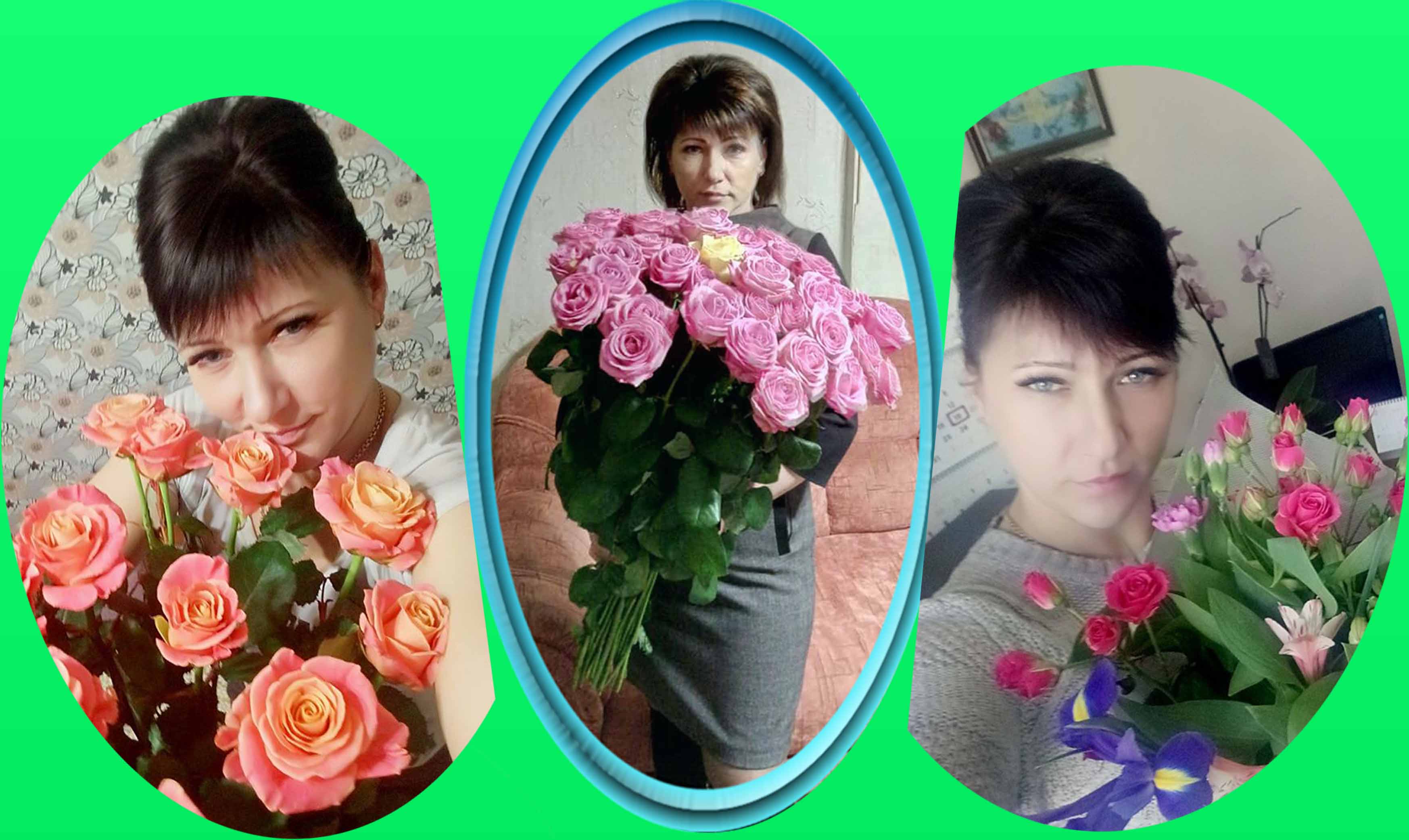 Koshova kolazh
